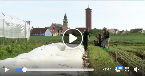 Projection-débat du documentaire 